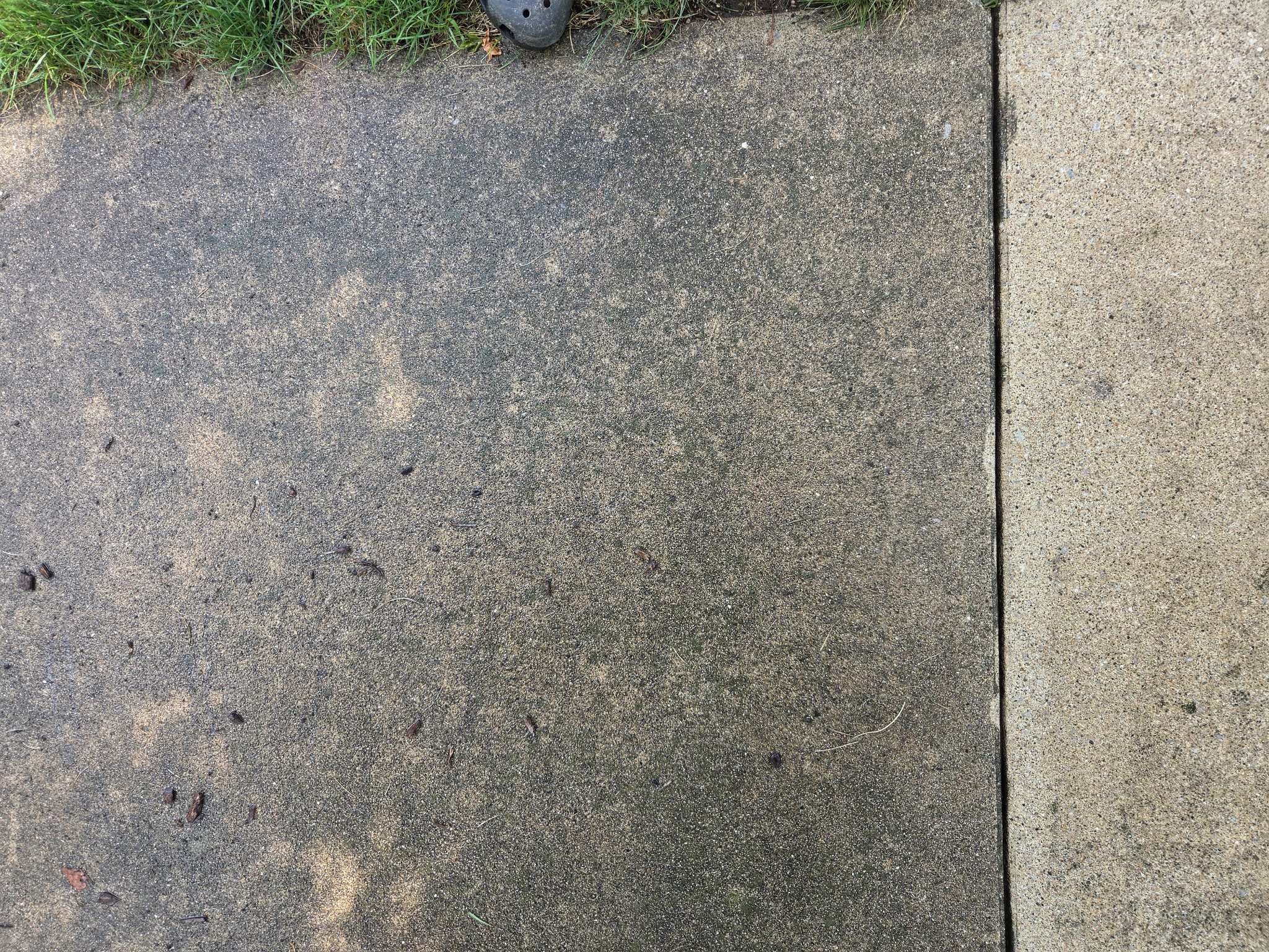 Sidewalk Pressure Wash