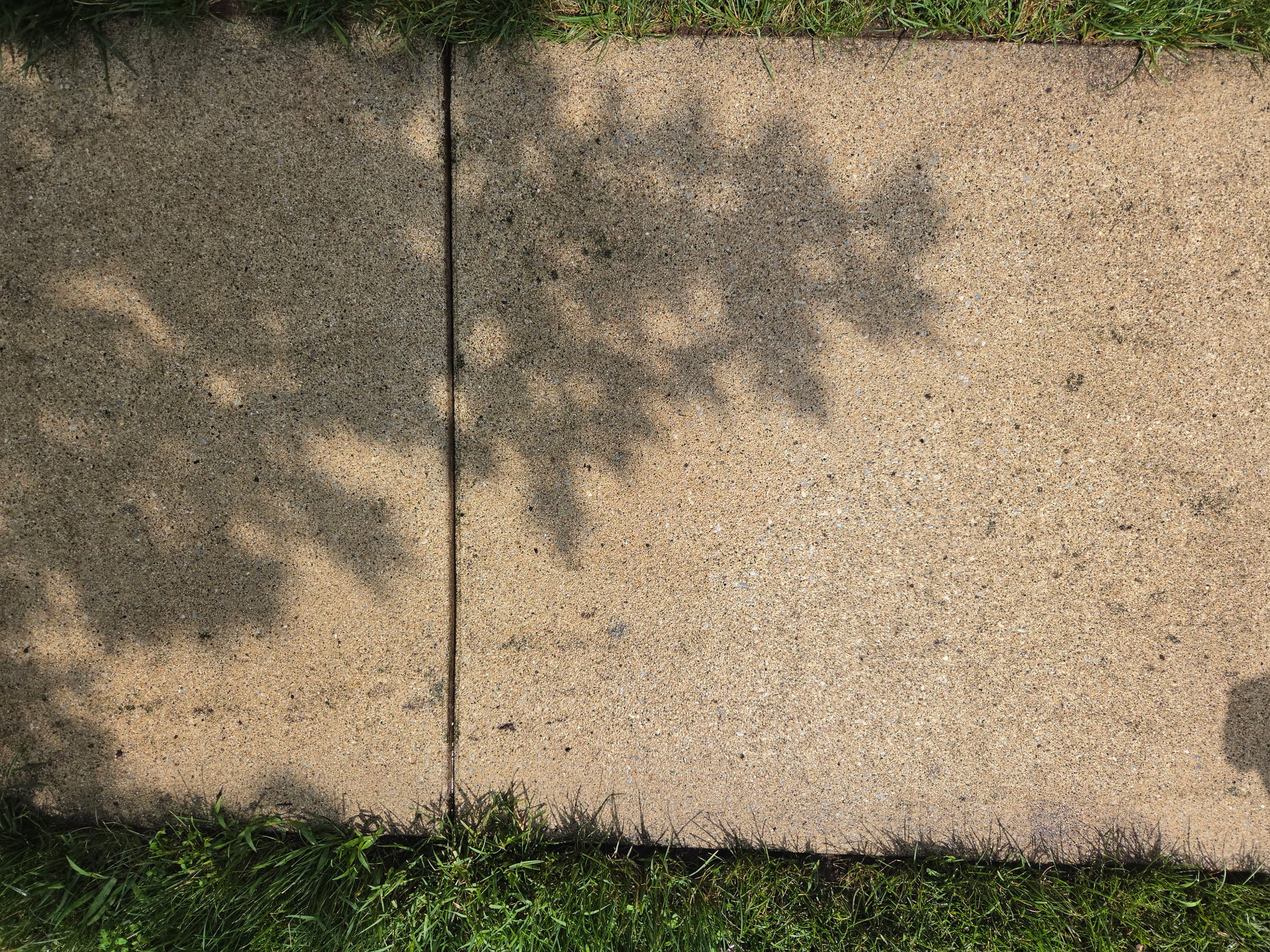 Sidewalk Pressure Wash